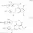 Fig. 22 - IRAK INHIBITORS, PREPARATION METHOD AND MEDICINAL USES THEREOF