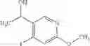 Fig. 100 - SUBSTITUTED OXOPYRIDINE DERIVATIVES