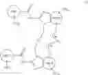 Fig. 146 - MACROCYCLIC COMPOUNDS AS STING AGONISTS