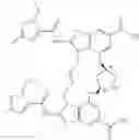 Fig. 31 - MACROCYCLIC COMPOUNDS AS STING AGONISTS