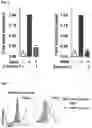 Fig. 03 - IMIDAZOLINE DERIVATIVES AS CXCR4 MODULATORS