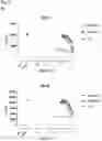 Fig. 06 - IMIDAZOLINE DERIVATIVES AS CXCR4 MODULATORS
