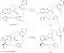 Fig. 141 - MACROCYCLIC COMPOUNDS