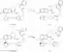 Fig. 147 - MACROCYCLIC COMPOUNDS
