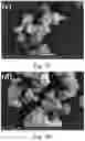 Fig. 07 - Molecular hydrogen adsorbent comprising copper-BTC MOF