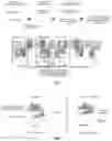 Fig. 02 - FLUORESCENT GTP ANALOGUES AND USE