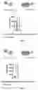 Fig. 05 - FLUORESCENT GTP ANALOGUES AND USE