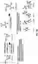 Fig. 06 - Synthesis of backbone modified morpholino oligonucleotides and chimeras using phosphoramidite chemistry
