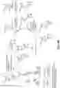 Fig. 08 - Synthesis of backbone modified morpholino oligonucleotides and chimeras using phosphoramidite chemistry