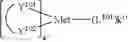 Fig. 173 - ORGANIC ELECTROLUMINESCENT MATERIALS AND DEVICES