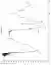 Fig. 07 - Pharmaceutical-Grade Ferric Organic Compounds, Uses Thereof and Methods of Making Same