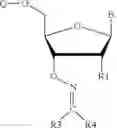 Fig. 10 - REVERSIBLE MODIFICATION OF NUCLEOTIDES