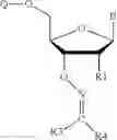 Fig. 111 - REVERSIBLE MODIFICATION OF NUCLEOTIDES