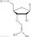 Fig. 113 - REVERSIBLE MODIFICATION OF NUCLEOTIDES