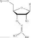 Fig. 115 - REVERSIBLE MODIFICATION OF NUCLEOTIDES