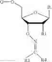 Fig. 119 - REVERSIBLE MODIFICATION OF NUCLEOTIDES