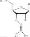 Fig. 122 - REVERSIBLE MODIFICATION OF NUCLEOTIDES