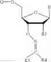 Fig. 123 - REVERSIBLE MODIFICATION OF NUCLEOTIDES