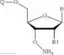 Fig. 124 - REVERSIBLE MODIFICATION OF NUCLEOTIDES