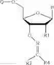 Fig. 127 - REVERSIBLE MODIFICATION OF NUCLEOTIDES