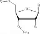 Fig. 147 - REVERSIBLE MODIFICATION OF NUCLEOTIDES