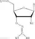 Fig. 15 - REVERSIBLE MODIFICATION OF NUCLEOTIDES