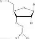 Fig. 154 - REVERSIBLE MODIFICATION OF NUCLEOTIDES