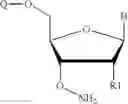 Fig. 155 - REVERSIBLE MODIFICATION OF NUCLEOTIDES