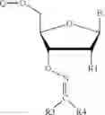 Fig. 161 - REVERSIBLE MODIFICATION OF NUCLEOTIDES