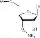 Fig. 162 - REVERSIBLE MODIFICATION OF NUCLEOTIDES