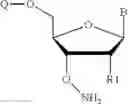 Fig. 45 - REVERSIBLE MODIFICATION OF NUCLEOTIDES