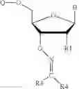 Fig. 46 - REVERSIBLE MODIFICATION OF NUCLEOTIDES