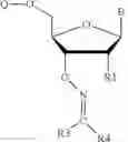 Fig. 47 - REVERSIBLE MODIFICATION OF NUCLEOTIDES