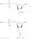 Fig. 48 - REVERSIBLE MODIFICATION OF NUCLEOTIDES