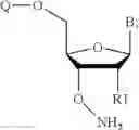 Fig. 61 - REVERSIBLE MODIFICATION OF NUCLEOTIDES