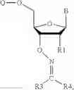 Fig. 80 - REVERSIBLE MODIFICATION OF NUCLEOTIDES