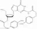 Fig. 21 - COMPOUNDS AND METHODS FOR MANUFACTURE OF HYPOMETHYLATING AGENTS