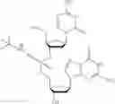 Fig. 33 - COMPOUNDS AND METHODS FOR MANUFACTURE OF HYPOMETHYLATING AGENTS