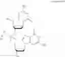 Fig. 75 - COMPOUNDS AND METHODS FOR MANUFACTURE OF HYPOMETHYLATING AGENTS