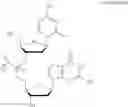 Fig. 80 - COMPOUNDS AND METHODS FOR MANUFACTURE OF HYPOMETHYLATING AGENTS
