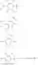 Fig. 11 - METHODS OF MODIFYING PHOSPHORYLATED OR SULFATED TYROSINE RESIDUES OF POLYPEPTIDES