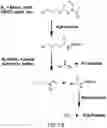 Fig. 18 - Conjugation reagents and methods using 1,2-cyclohexanediones