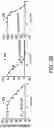 Fig. 04 - Isolated peptide, anti-cancer medicinal composition including the same and method of specifically reducing or inhibiting activities of cancer cells using the same