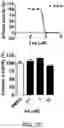 Fig. 05 - Isolated peptide, anti-cancer medicinal composition including the same and method of specifically reducing or inhibiting activities of cancer cells using the same
