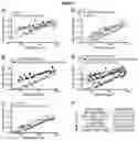 Fig. 06 - NANOMOLAR PEPTIDES AND DERIVATIVES TO DIFFERENTIALLY MODULATE EPHRIN RECEPTORS