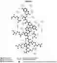Fig. 09 - NANOMOLAR PEPTIDES AND DERIVATIVES TO DIFFERENTIALLY MODULATE EPHRIN RECEPTORS