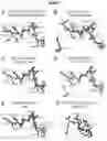 Fig. 13 - NANOMOLAR PEPTIDES AND DERIVATIVES TO DIFFERENTIALLY MODULATE EPHRIN RECEPTORS