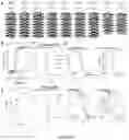 Fig. 04 - DE NOVO DESIGN OF TUNABLE PH-DRIVEN CONFORMATIONAL SWITCHES