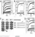 Fig. 05 - DE NOVO DESIGN OF TUNABLE PH-DRIVEN CONFORMATIONAL SWITCHES