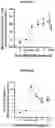 Fig. 04 - Insulin like growth factor binding protein bioactive peptide fragments